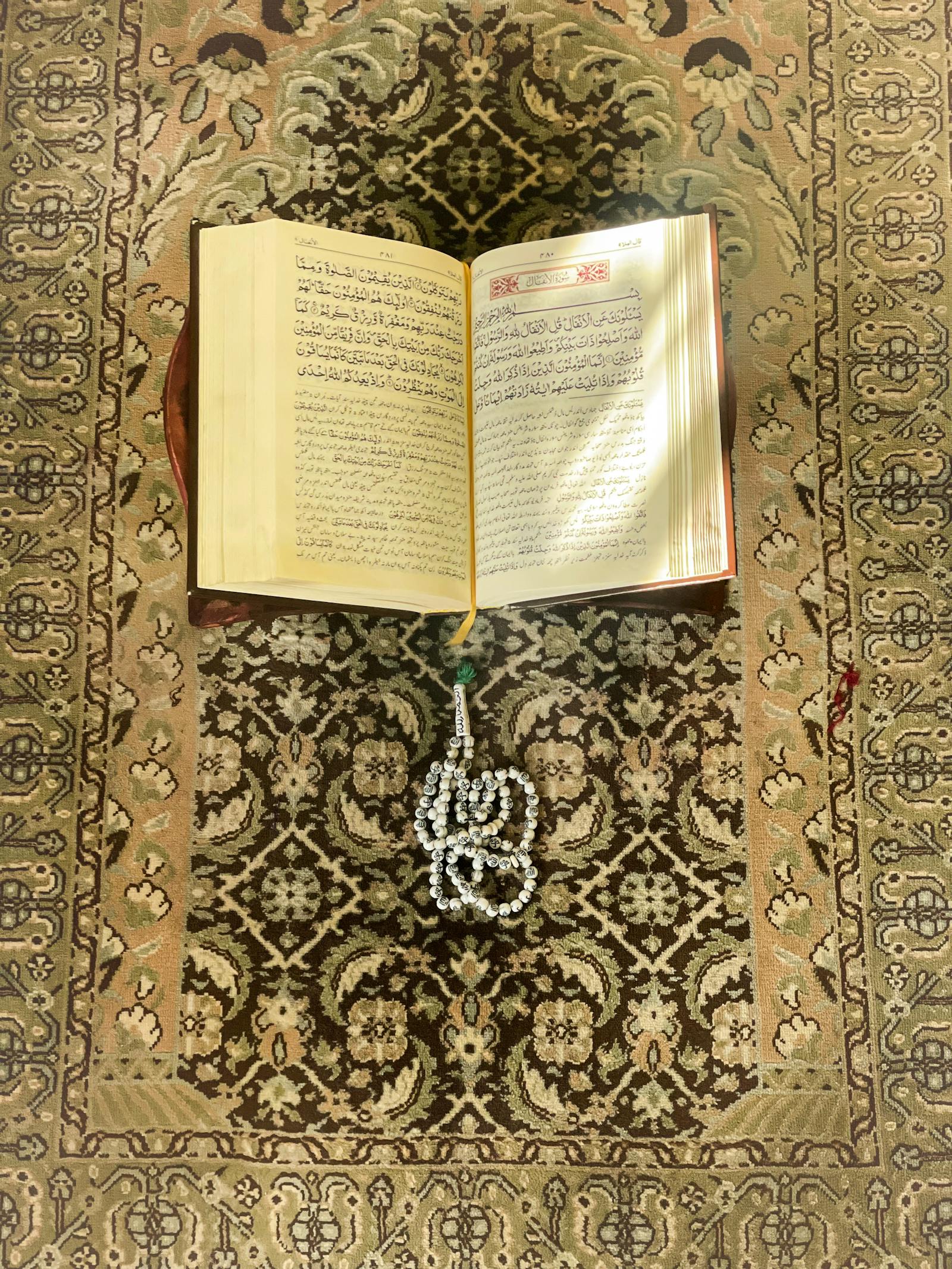 Open Quran on stand for Hifz memorization