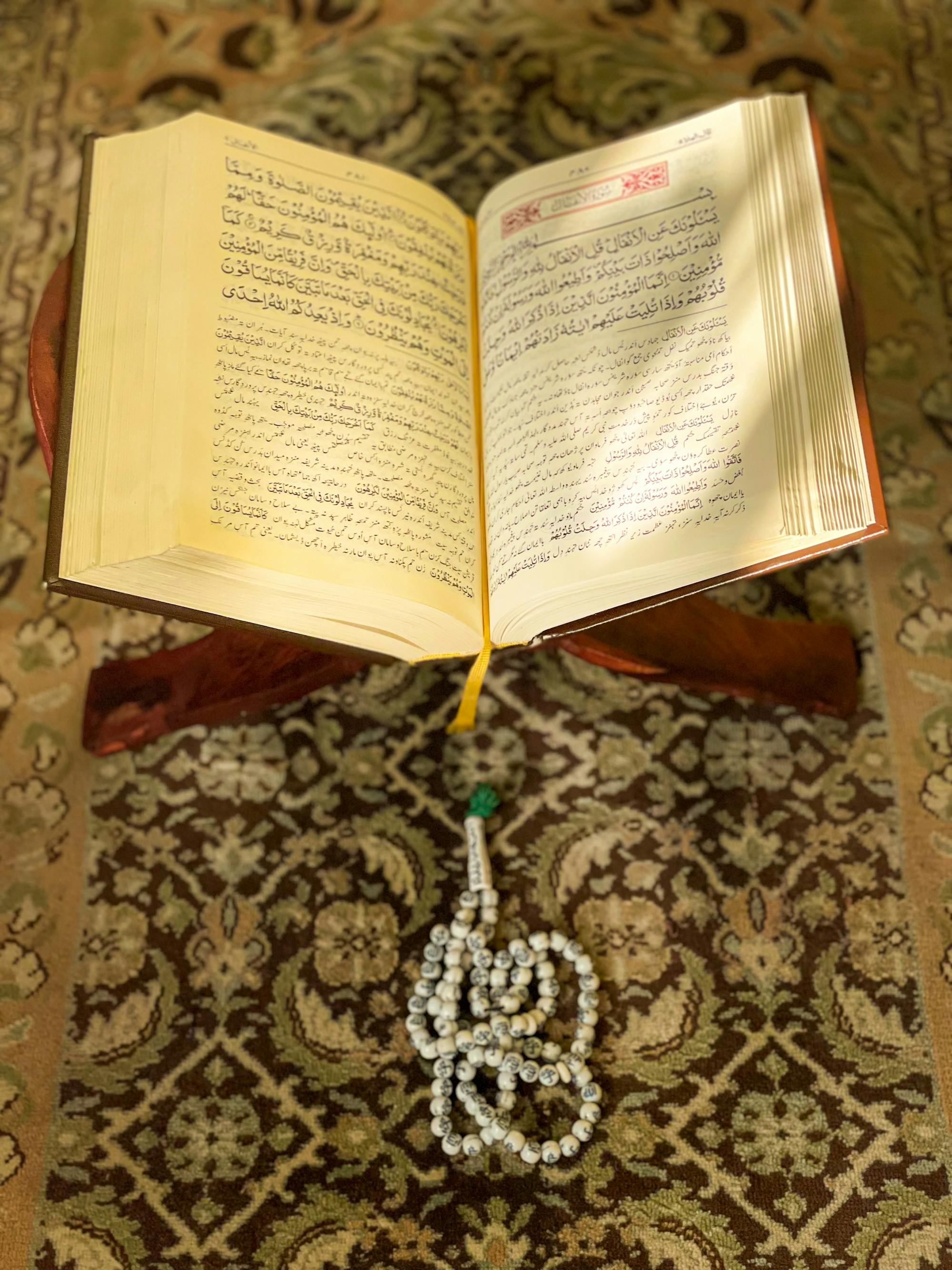 Quran reading practice
